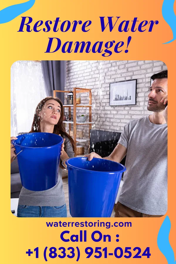 water restoration Expert Water Repair Experts South Hooksett