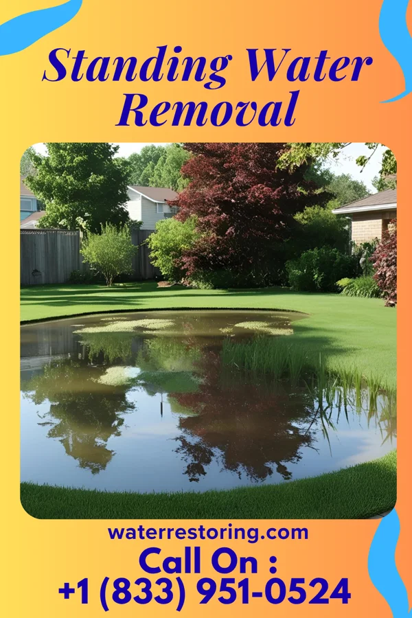 Standing Water Removal in South Hooksett, NH